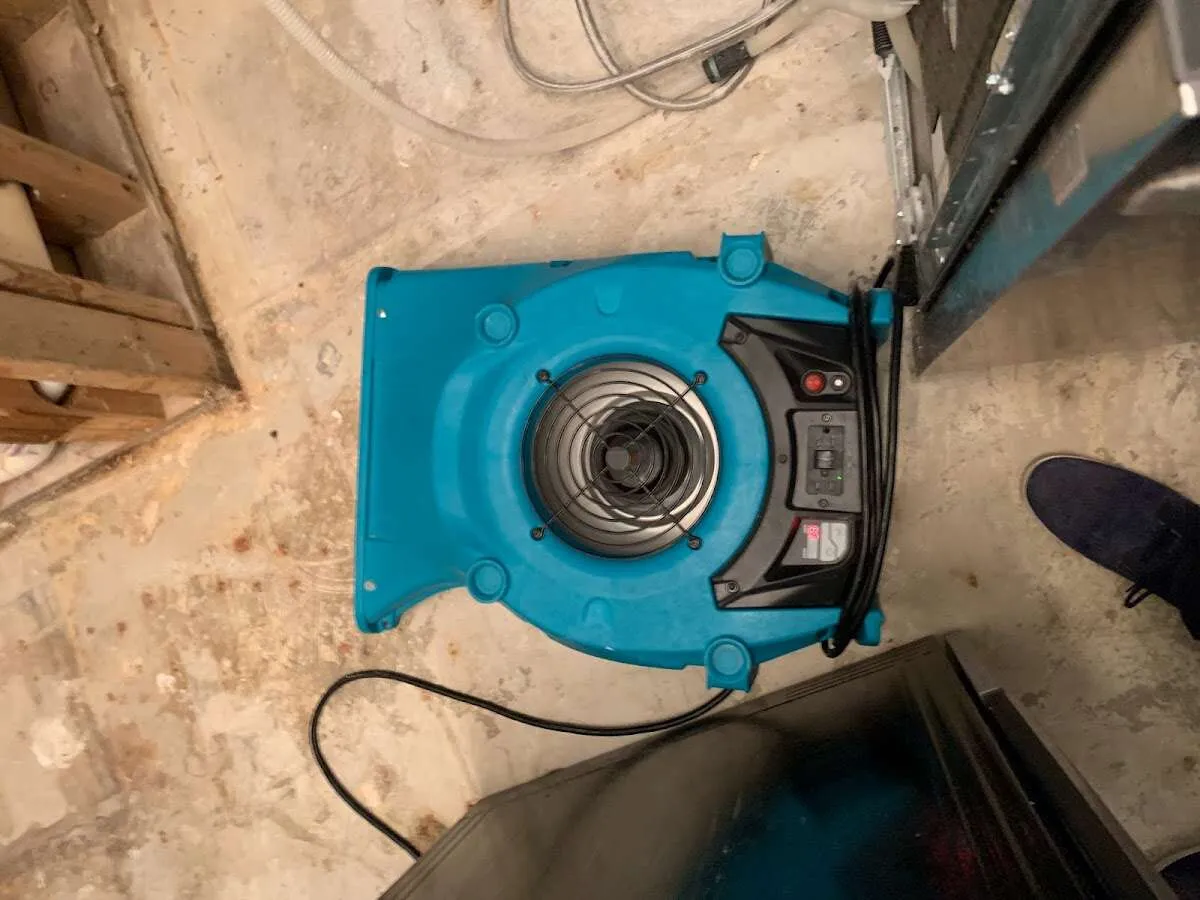 Air mover drying equipment for Mold Remediation & Removal in Lower Moreland